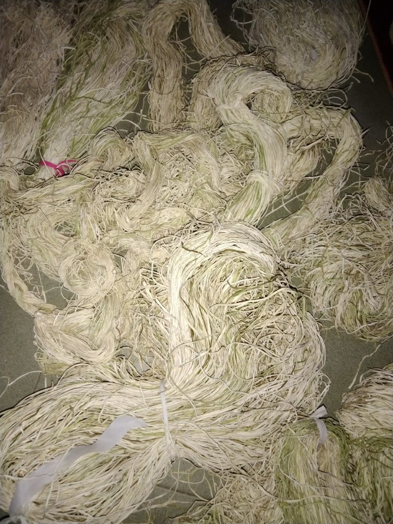甜葫芦条基地直发性价比保证质量优
