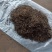 茶园批发规格齐全全国供应岩茶