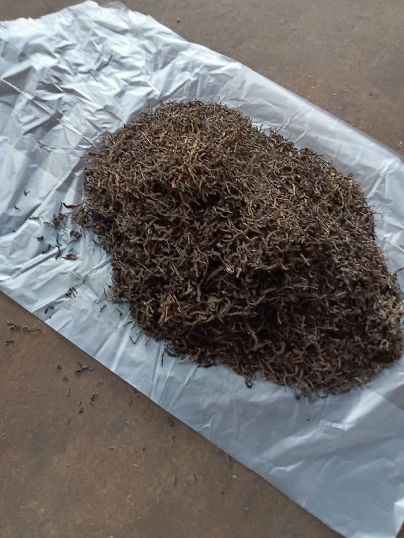 茶园批发规格齐全全国供应岩茶