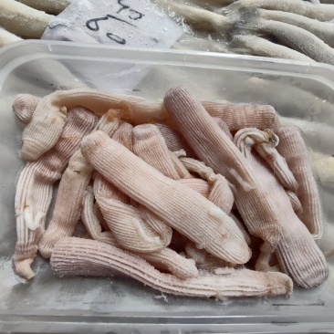 饭店酒楼沙虫正品保证欢迎电话咨询