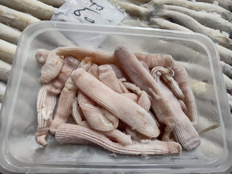 饭店酒楼沙虫正品保证欢迎电话咨询