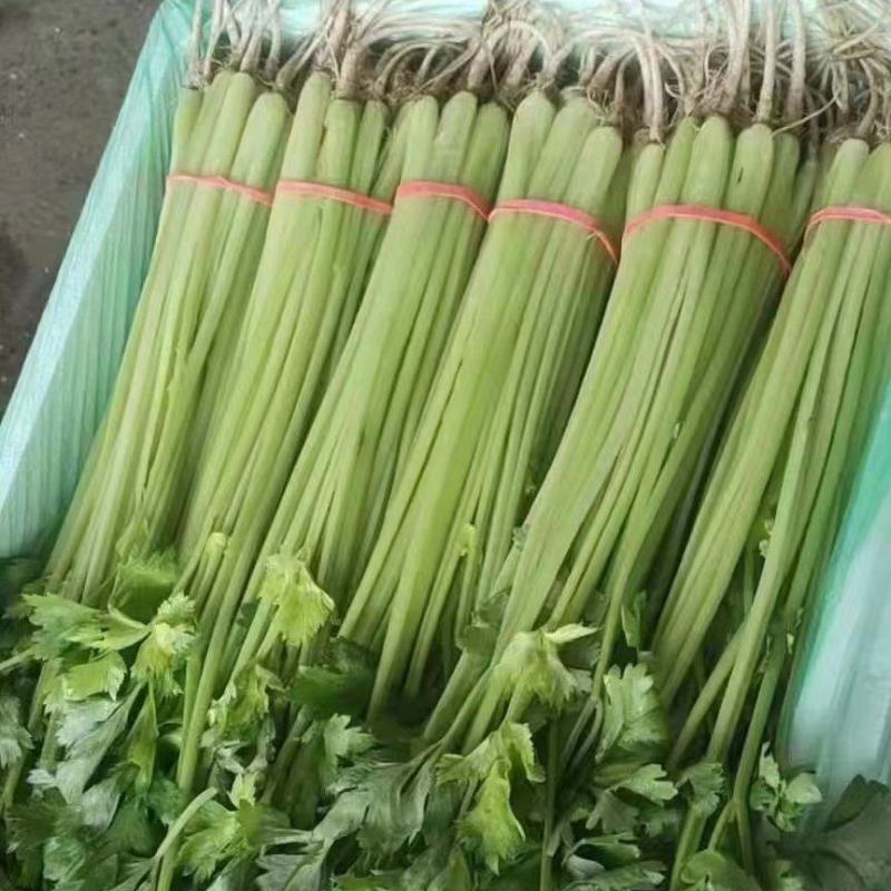 精品香芹对接市场档口，电商，商超