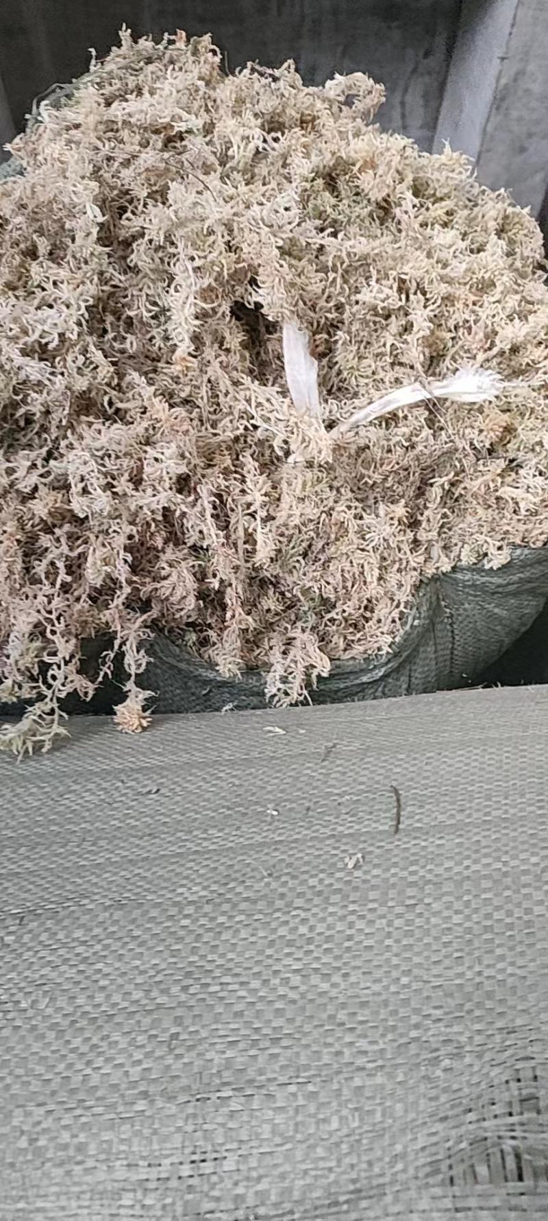 保湿发货水苔正规货源欢迎电话咨询