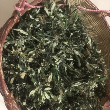 地胆草