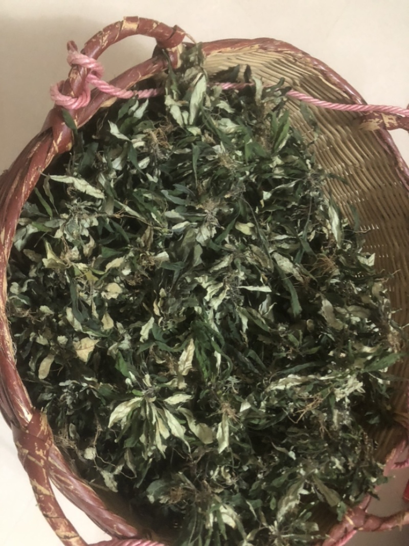 地胆草
