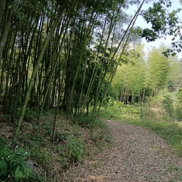 农场
