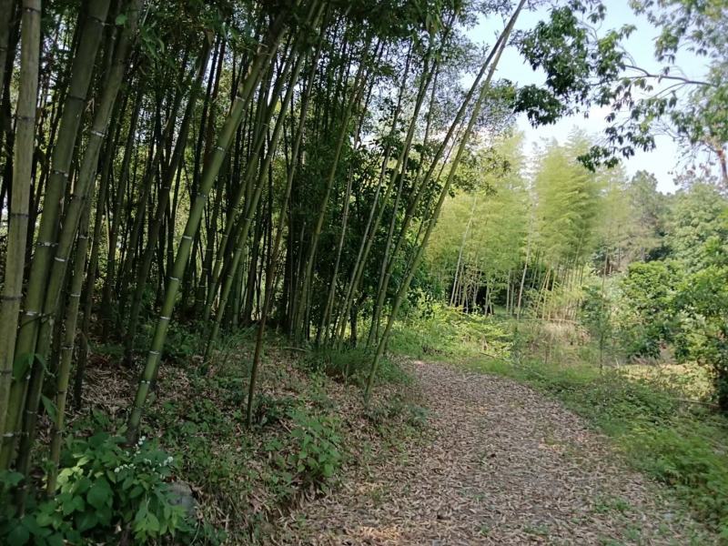 农场