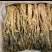 梅菜营养丰富工厂手续齐全随时可聊