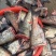 新鲜无冰鱼尾长期供应价格美丽