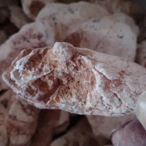 龙骨