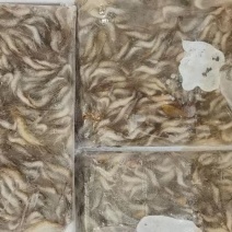 ***河虾欢迎联系下单秒发