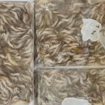 ***河虾欢迎联系下单秒发