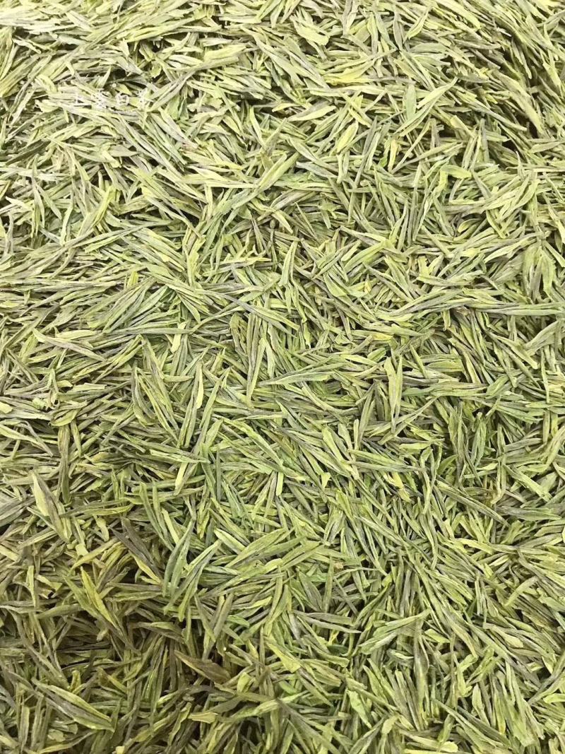 正品货源黄金芽量大优惠欢迎电话咨询
