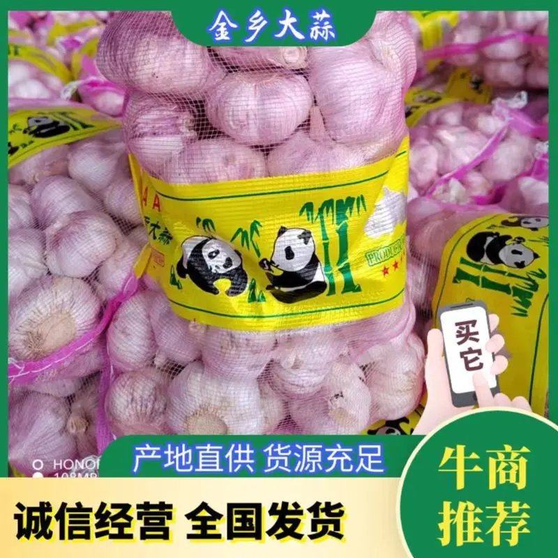 山东金乡优质红皮大蒜，太空蒜，代发全国市场，加工各种包装