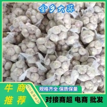 山东金乡优质红皮大蒜，太空蒜，代发全国市场，加工各种包装