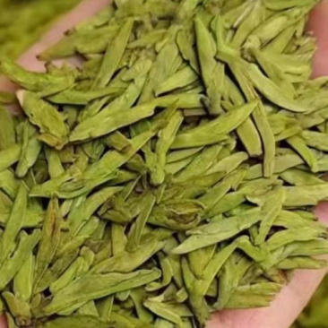 茶工厂直销乌牛早真空保鲜节日礼盒