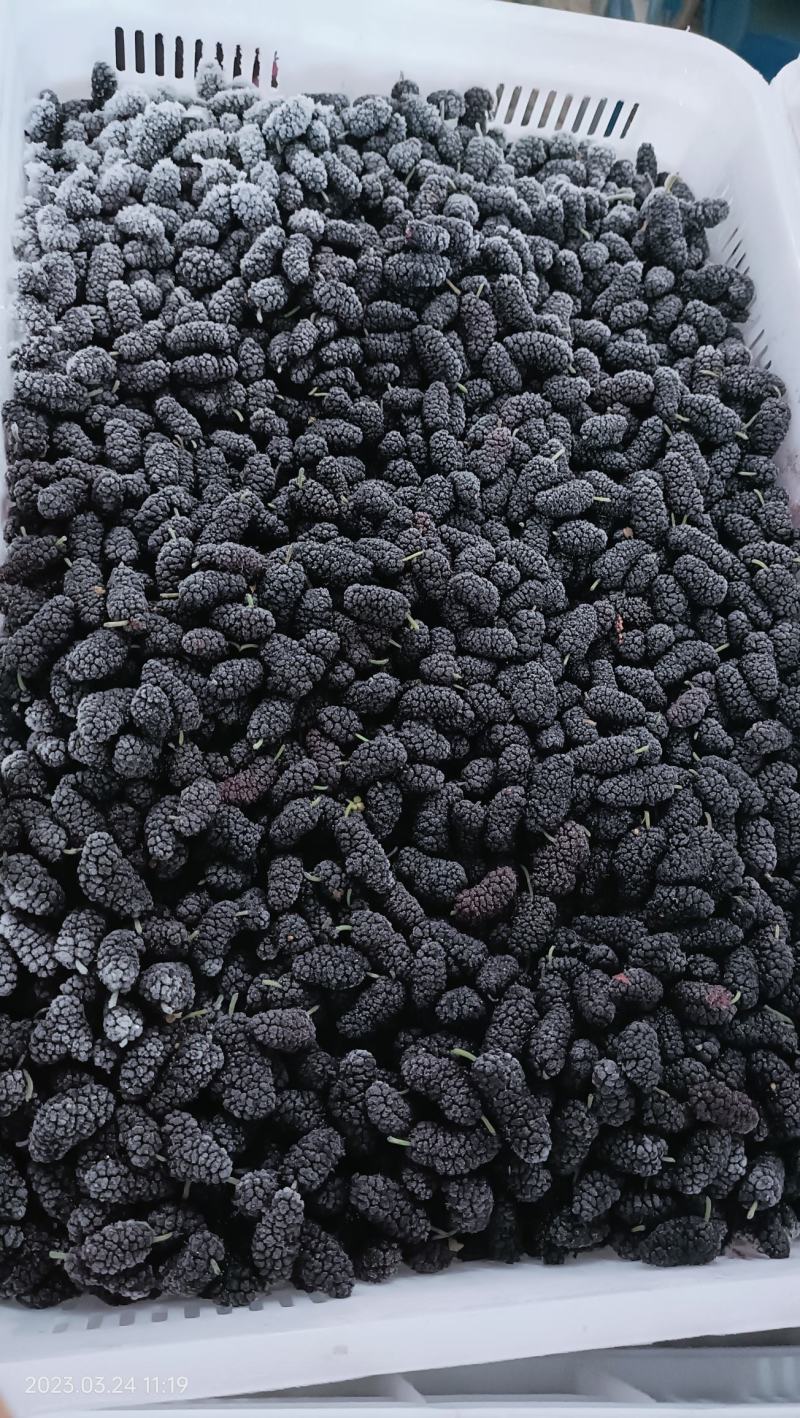 鲜桑葚冻果成品