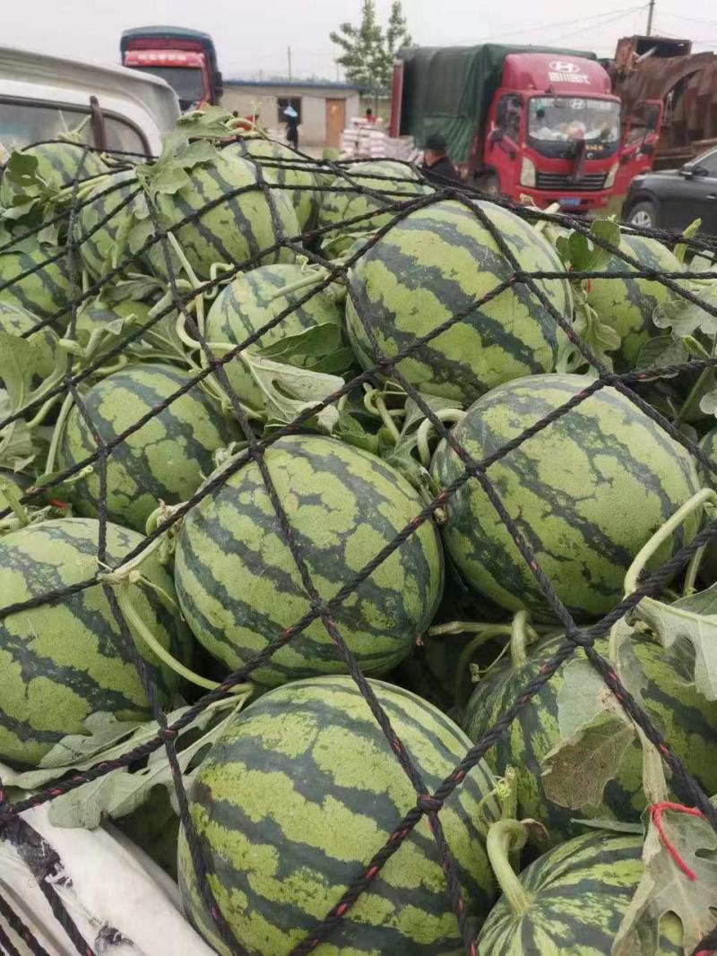 西瓜正品保障