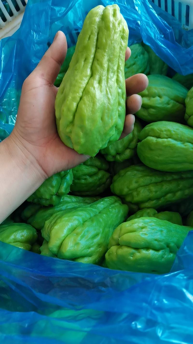 佛手瓜