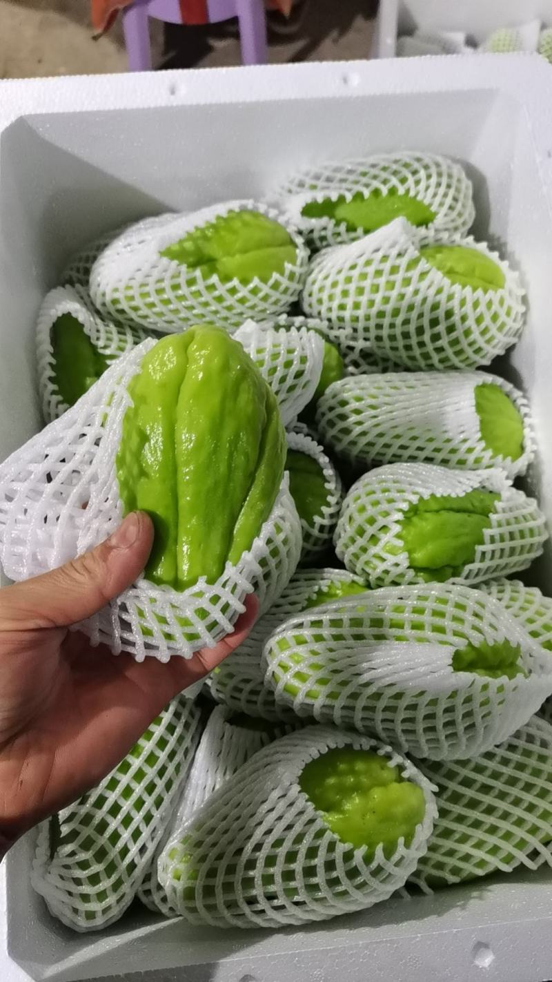 佛手瓜