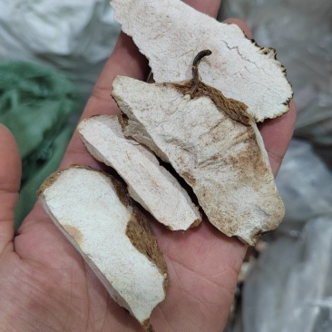 土茯苓，土茯苓干片