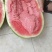 正品保障西瓜营养多汁