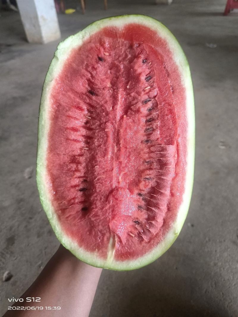 正品保障西瓜营养多汁