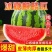 产地直发新鲜西瓜全国包邮