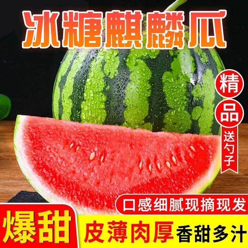 产地直发新鲜西瓜全国包邮