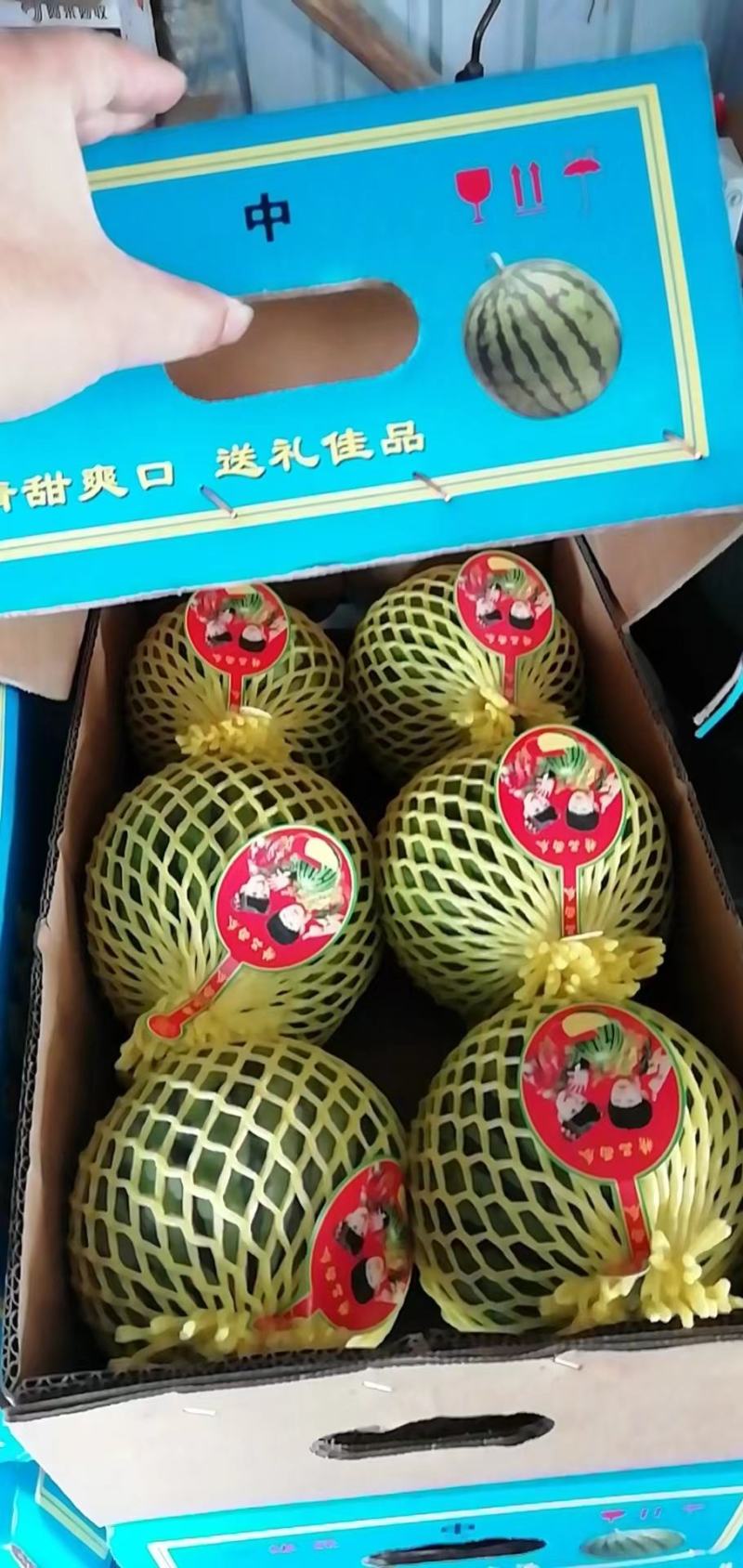 营养多汁西瓜现货秒发24小时在线服务