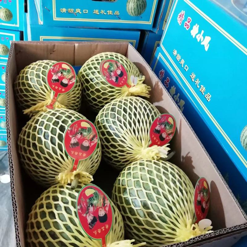 营养多汁西瓜现货秒发24小时在线服务