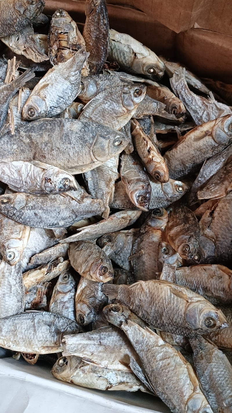 饲料鱼干小鲫鱼干母猪饲料宠物饲料鱼粉