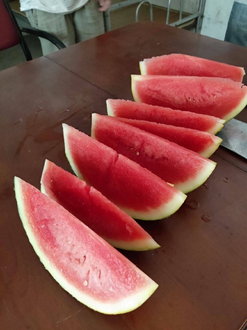 西瓜甜度高品质好全国供应