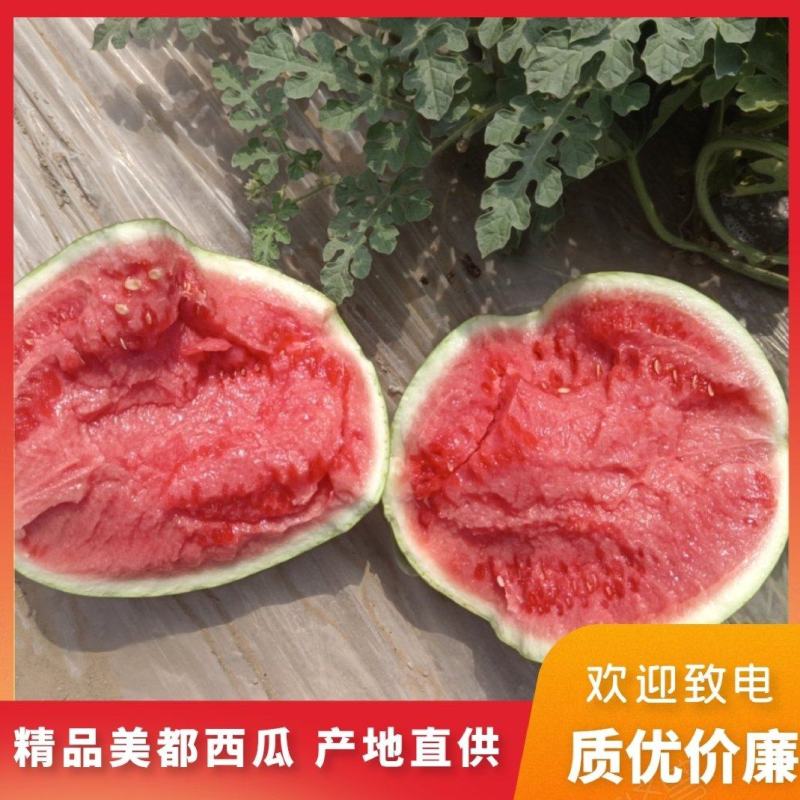 西瓜超高性价比现货秒发