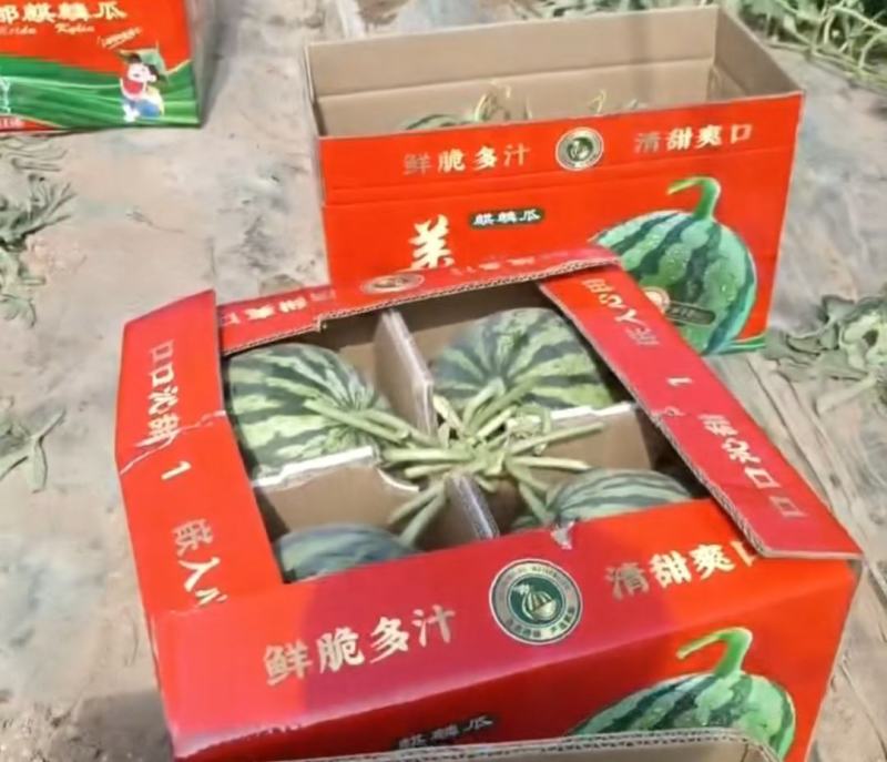 西瓜超高性价比现货秒发