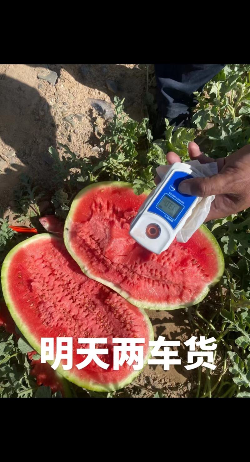 宁夏香山石头瓜硒砂瓜现在南山台子西瓜