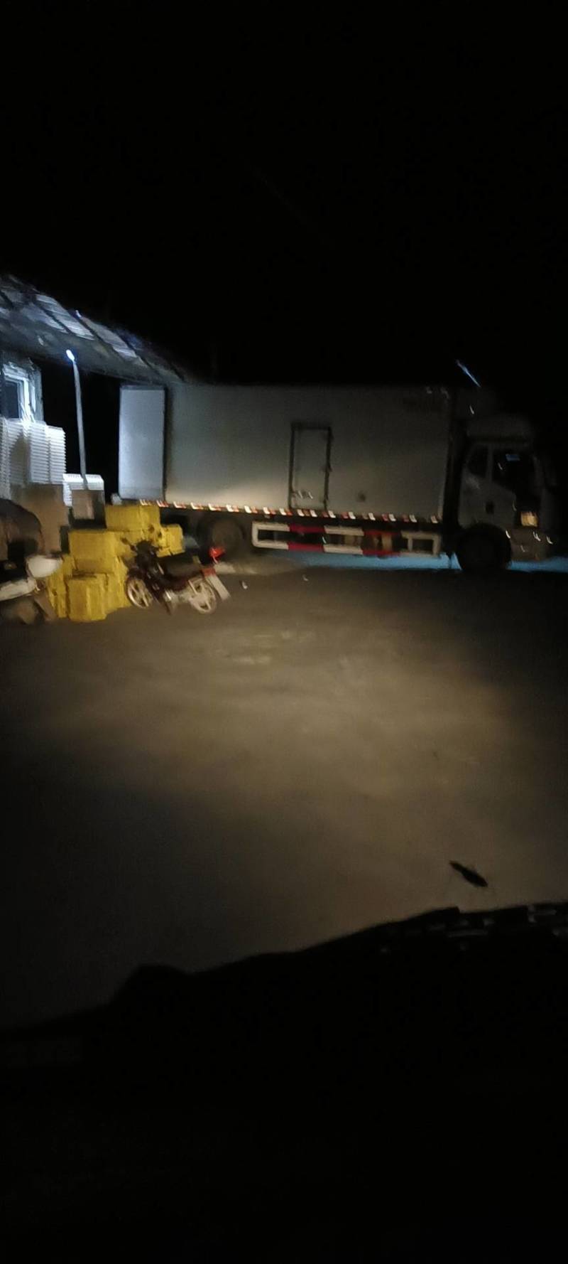 精品陆地小白菜可供商超全国可发货量大从优产地直销