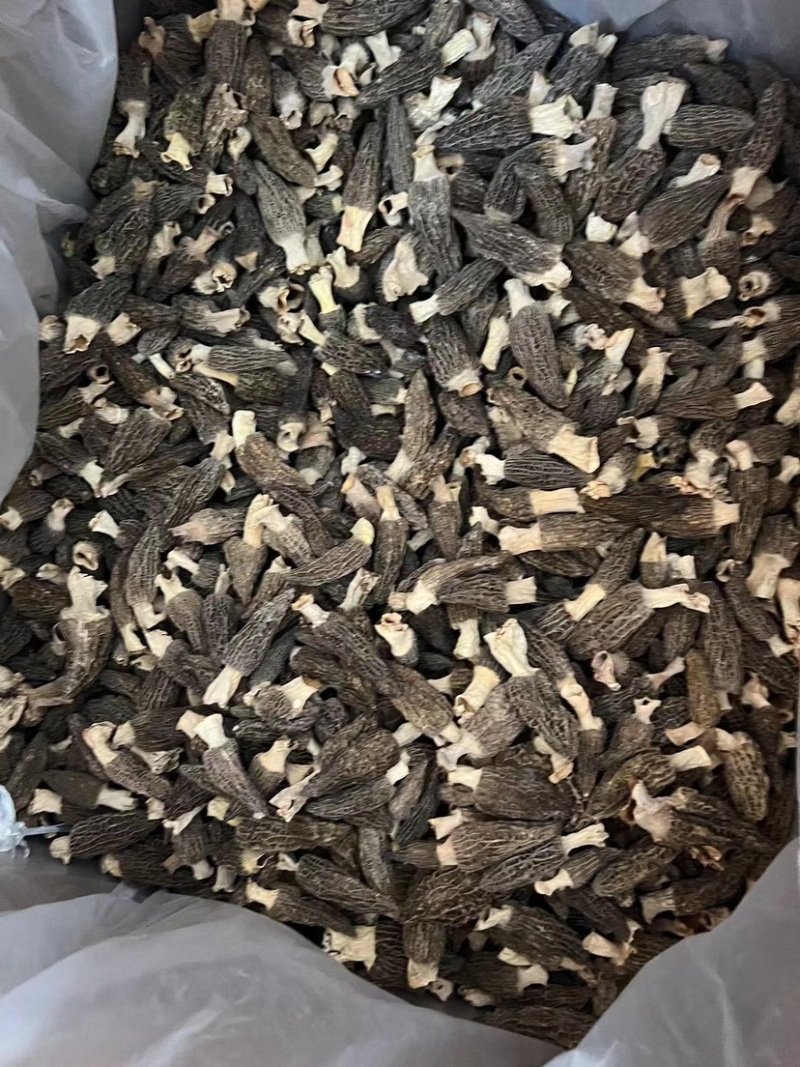 【羊肚菌】产地直销六妹七妹羊肚菌价格优惠品质多样售后无忧
