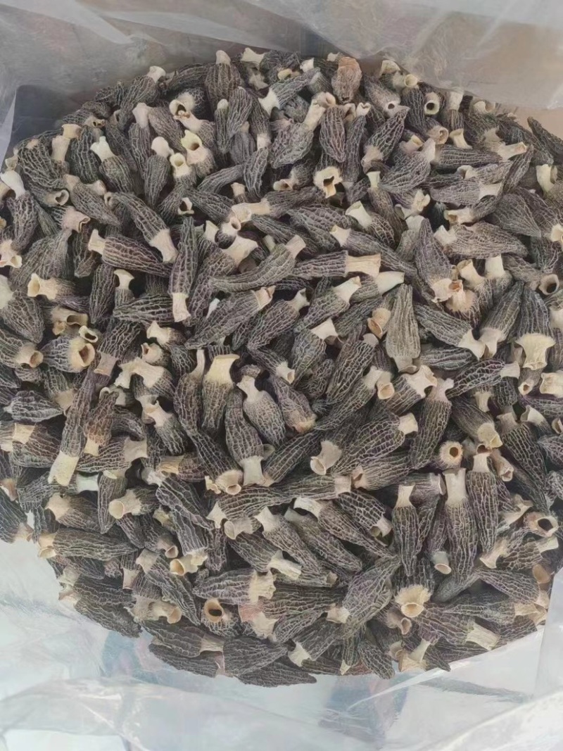 【羊肚菌】产地直销六妹七妹羊肚菌价格优惠品质多样售后无忧