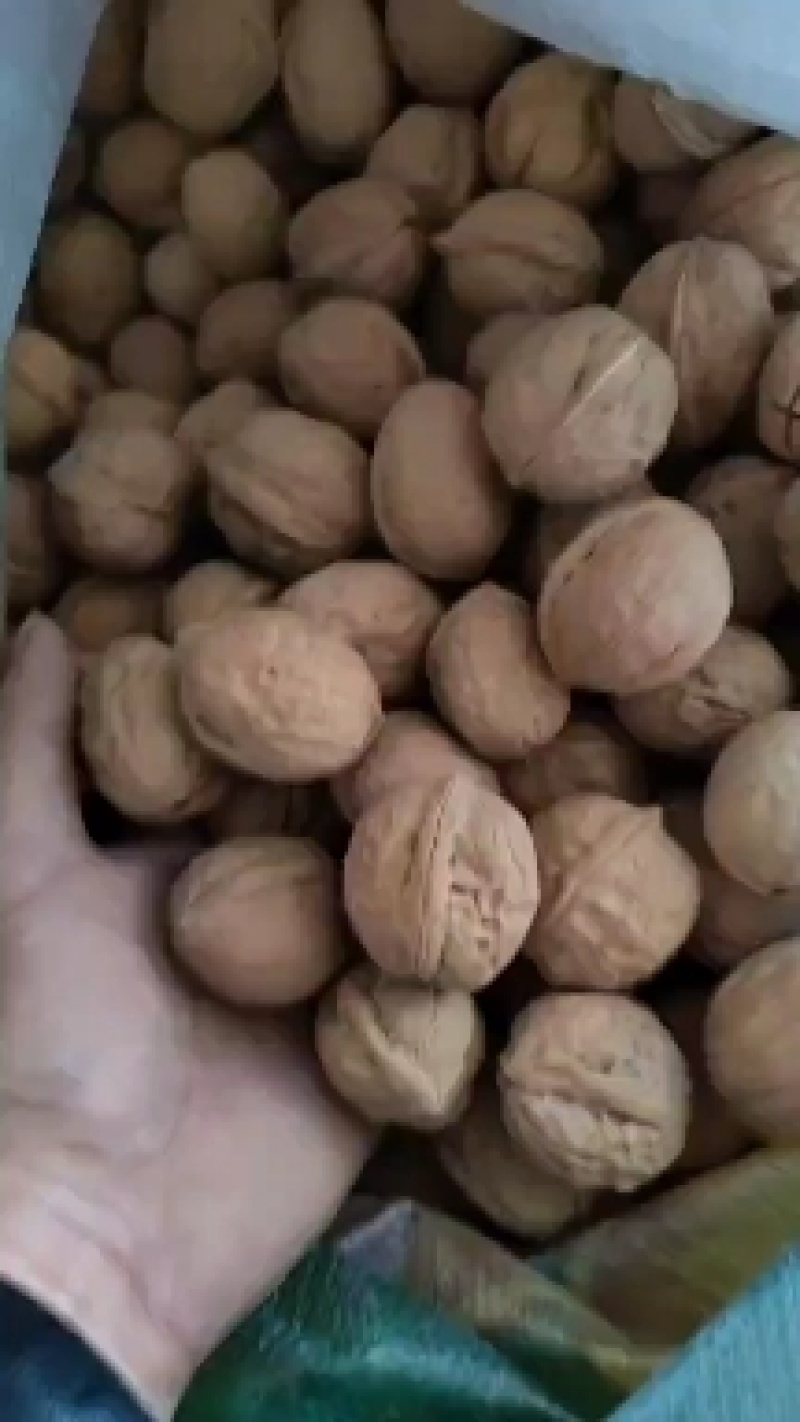 幸福核桃