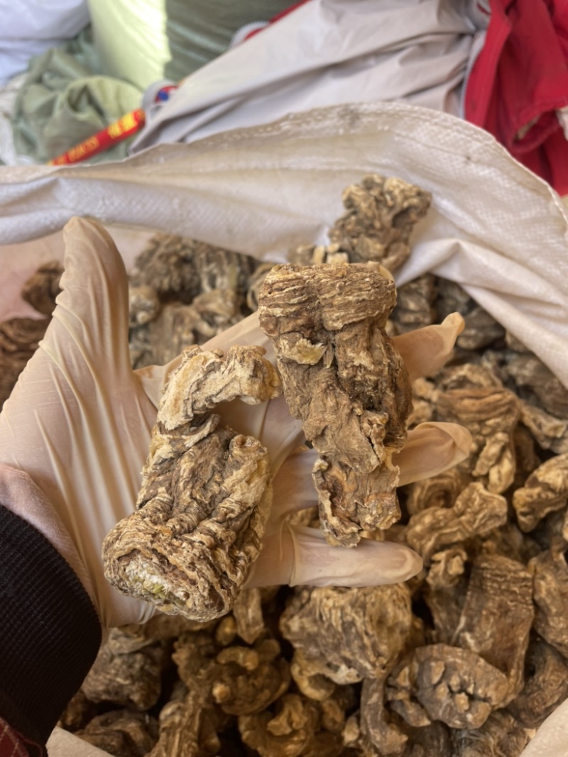 产地直发当归24小时在线支持长期有货稳定供应