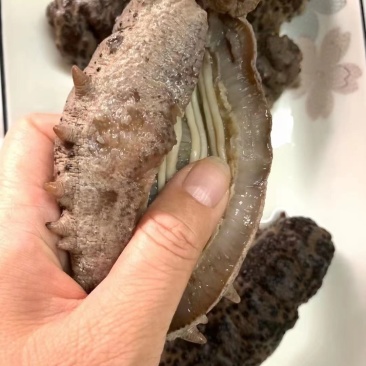珍珠球参