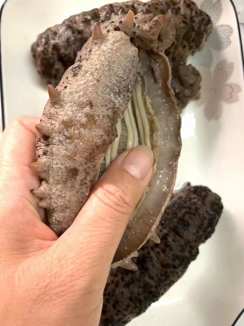 珍珠球参