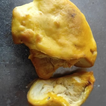 鸡宝