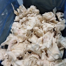 规格齐全鱿鱼物流包邮正宗产地批发