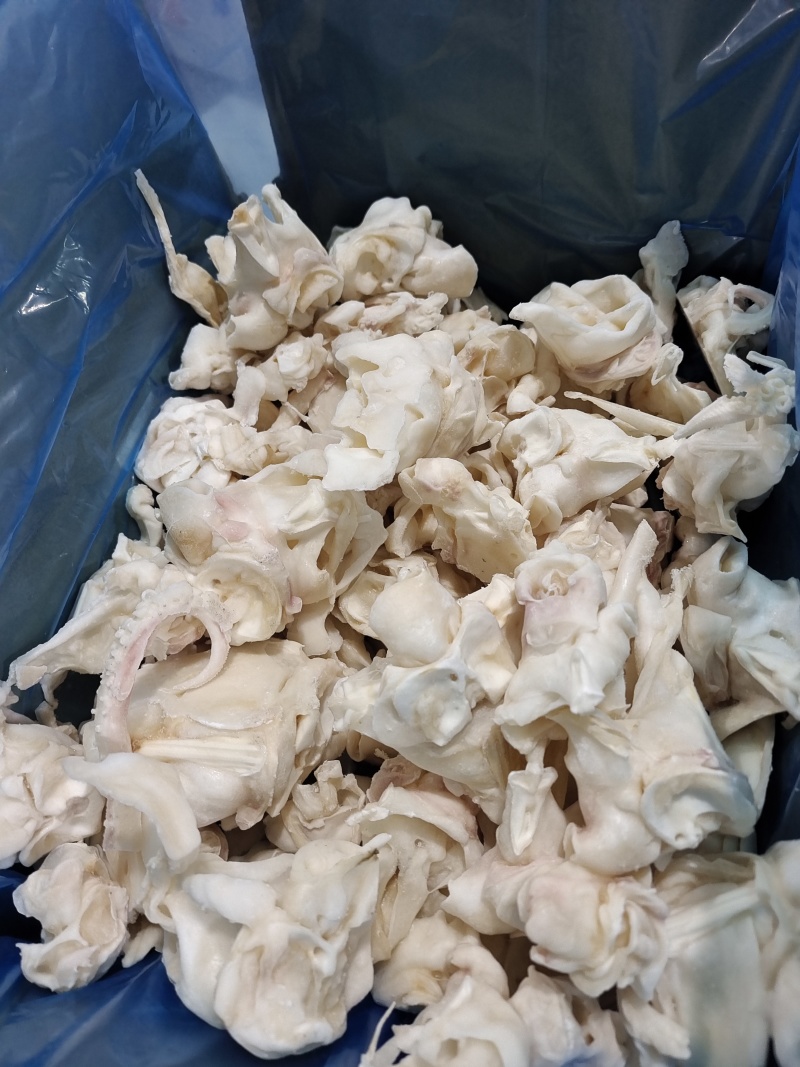长期有货鱿鱼现捞现发物流包邮