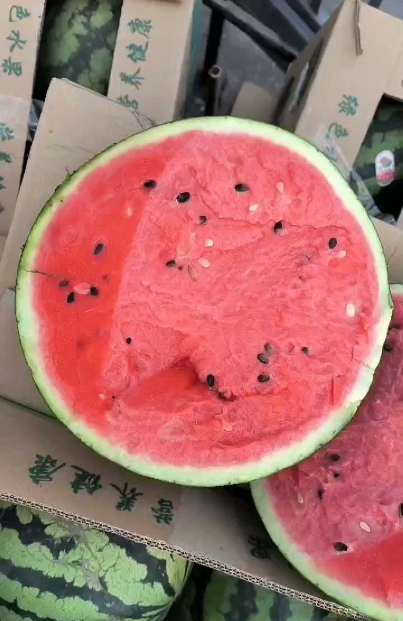 保质保量西瓜货源充足