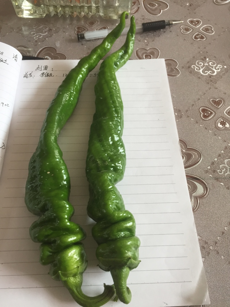 螺丝椒