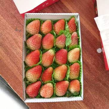 云南夏季草莓，基地直销，发往全国各地，一他也批发