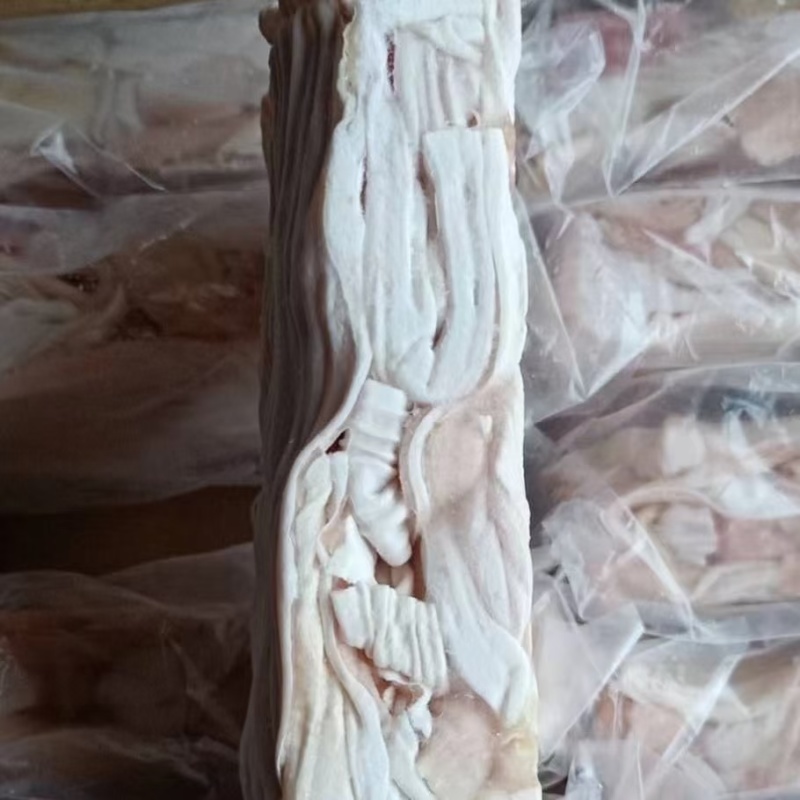 鹅食带